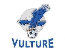 Vulture logo